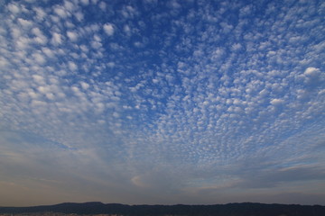 cirro-cumulus; mackerel sky