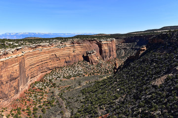 Colorado National Monument - Upper Ute Canyon