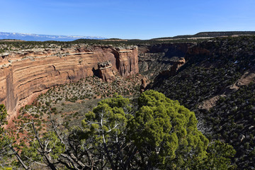 Colorado National Monument - Upper Ute Canyon