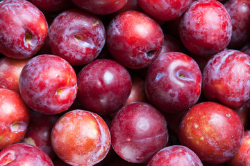 Fresly picked plums