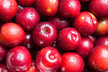 Freshly picked plums