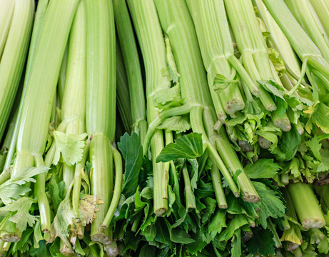 Organic fresh celery at a local farmers market