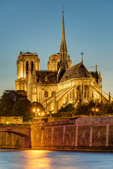 Fototapeta na wymiar The famous Notre Dame cathedral in Paris after sunset