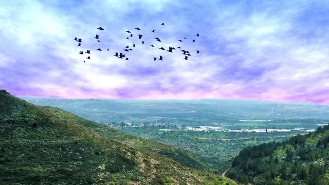 Magical and dreamy views