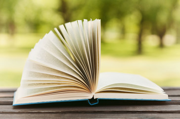 Open book on a bench in park in a sunny day, reading in the summer, education, textbook, back to school concept