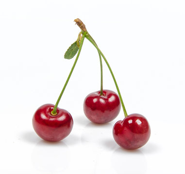 ripe cherry with leafs