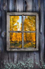 Fall window design