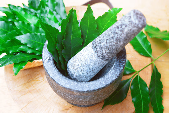 medicinal neem leaves in mortar and pestle with neem leaves in bamboo box on wooden background. herb in Thailand.