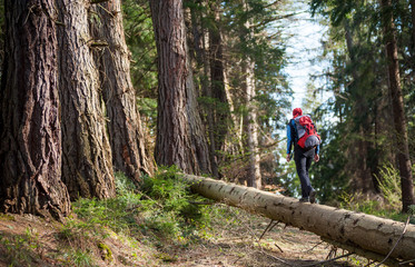 Woman in sportswear with a red backpack from back walking on a log in the forest. Outdoors activities.
