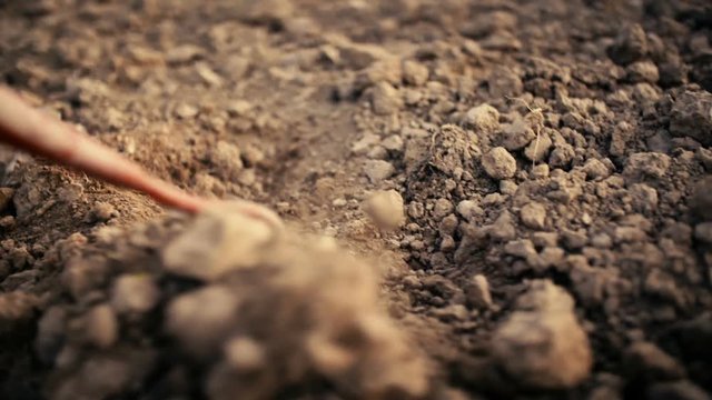 Farmer Using Hoe On Dirt At Farm
