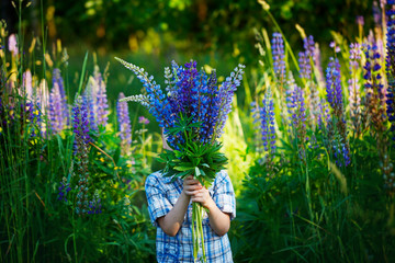 Little child  holding a bouquet of violet lupines flowers field