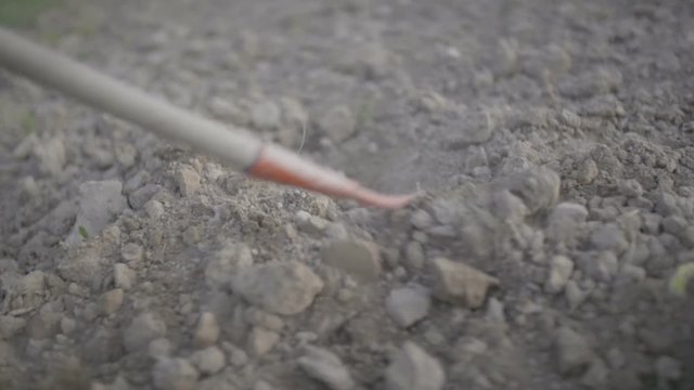 Farmer Using Hoe On Dirt At Farm