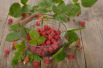 Fresh raspberries in a basket