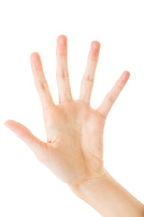 Woman hand showing five fingers, isolated on a white background.