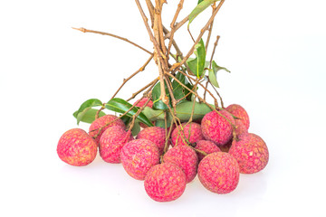 Bunch of litchi isolated on white background.