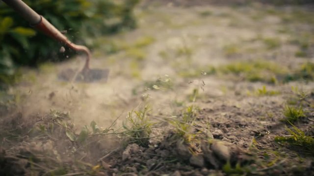 Farmer Using Hoe On Dirt At Farm