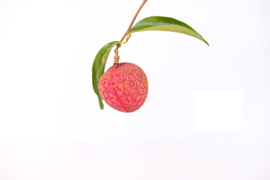Fresh lychees isolated on white background.