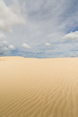 Fototapeta na wymiar The Giant Dune looks like a desert. Far North New Zealand.