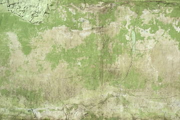 Green concrete wall texture