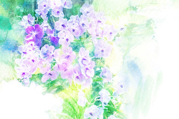 Flower watercolor illustration.