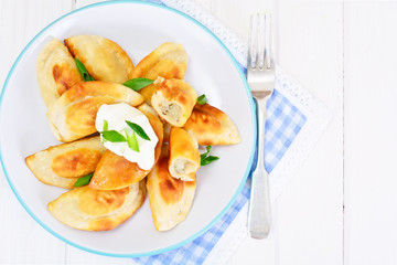 Gedza Japanese Dumplings in the Broth