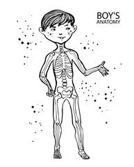 Cartoon anatomy for kids.Cute boy and his skeletal