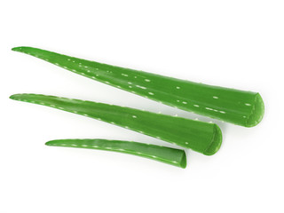 Fresh aloe sticks