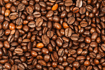 Coffee bean background