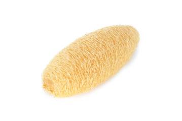 Dry Luffa, luffa sponge on white background, isolated on white b