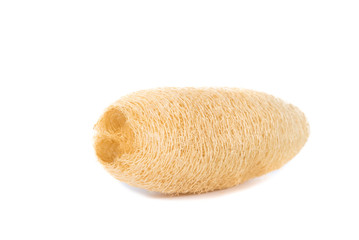 Dry Luffa, luffa sponge on white background, isolated on white b