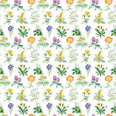 Collection of hand drawn medical herbs and plants. seamless pattern