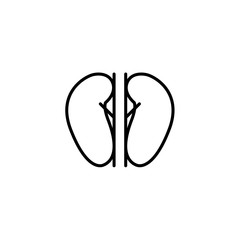 Vector kidney icon