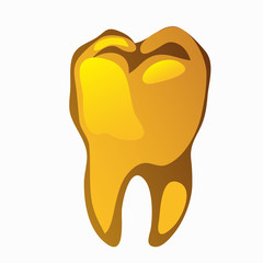 Golden human tooth molar closeup