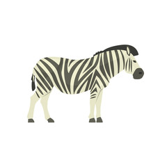 Zebra Realistic Simplified Drawing