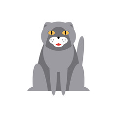 Persian Cat Breed Primitive Cartoon Illustration