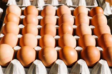 Palette of brown eggs