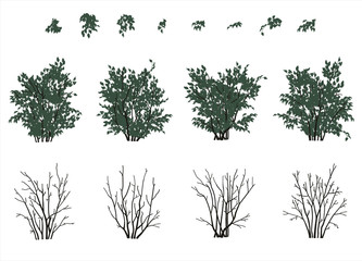Fototapeta premium bushes set in flat colors