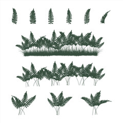 ferns set in flat colors - 113956452
