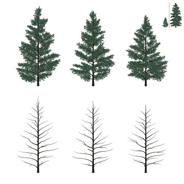 young firs set in flat colors