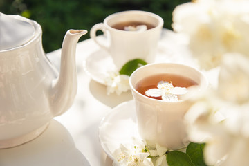 Close up on jasmine tea with jasmine flower in a glass cup. Tea