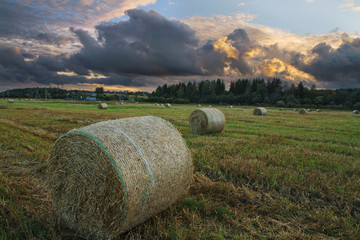 straw rolls