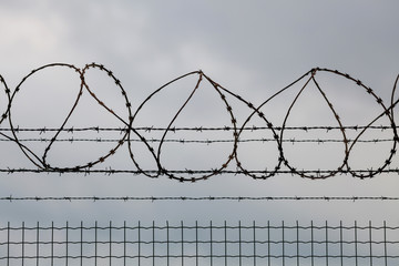 Barbed wire fence protecting restricted area