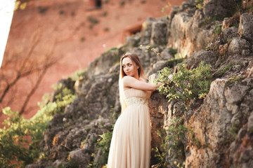 Fototapeta na wymiar Attractive young woman in long dress standing on the rocks