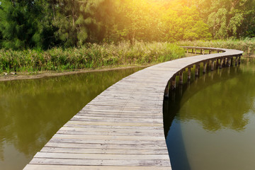 Wooden path with lake