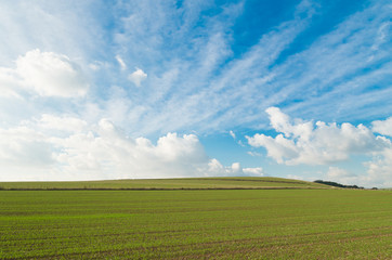 sussex landscape