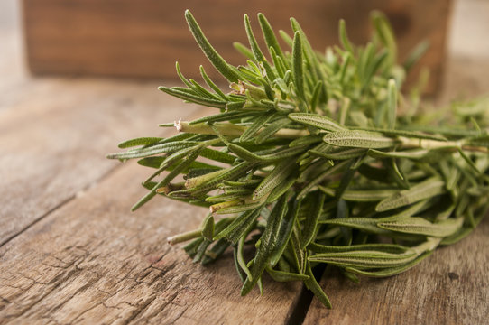 Organic bunch of fresh rosemary on the table