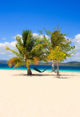 Landscape of tropical island. Hammock and palm trees. Coron island. Philippines.