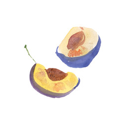 Plum, damson, prune were created with watercolor paint, high-quality paper textures. You may use it for creation a pack, label, illustrations of seasonal festival, flyer, poster, background, card.