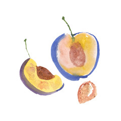 Plum, damson, prune were created with watercolor paint, high-quality paper textures. You may use it for creation a pack, label, illustrations of seasonal festival, flyer, poster, background, card.