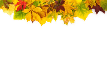 Verschiedene Herbstblätter als Arrangement isoliert